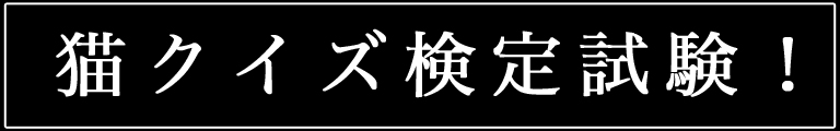 猫クイズ検定試験！